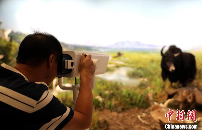圖為臺(tái)商觀看祁連山國(guó)家公園生態(tài)科普館內(nèi)生態(tài)場(chǎng)景。　薛蒂 攝