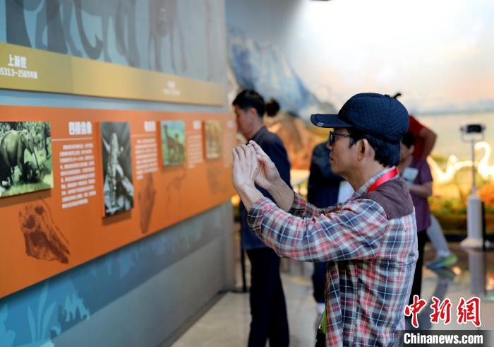 圖為臺(tái)商在祁連山國(guó)家公園生態(tài)科普館觀看墻面藝術(shù)圖文?！⊙Φ?攝
