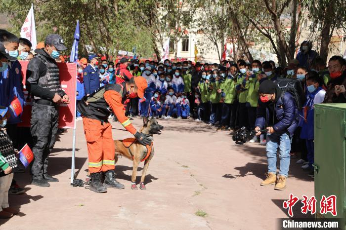圖為搜救犬服從和箱體搜救演練?！≮w琳 攝