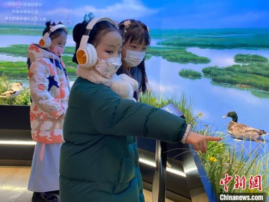 圖為學(xué)生在西寧市第一中學(xué)濕地科普宣教館內(nèi)參觀。　李江寧 攝