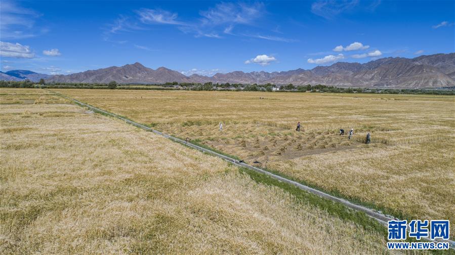 （新華全媒頭條·走向我們的小康生活·圖文互動）（11）扎西德勒，我們的新家園——西藏易地扶貧搬遷搬出幸福美好新生活