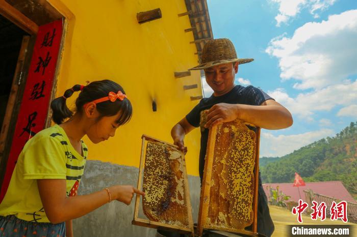 “甜蜜產(chǎn)業(yè)”讓全村致富有奔頭。洲湖鎮(zhèn)供圖