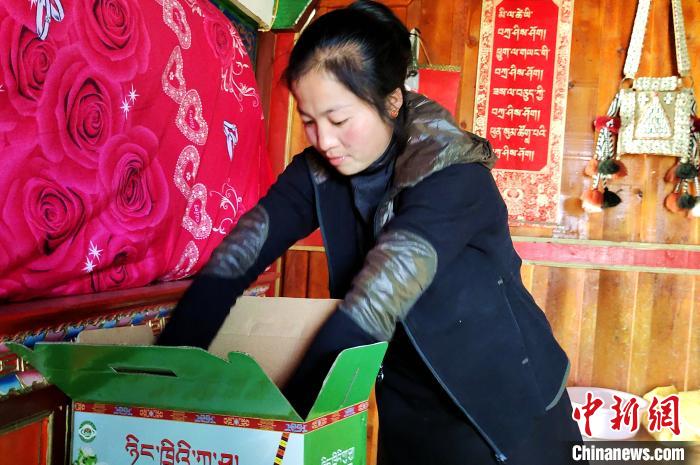 圖為通麥村村民巴桑拉姆把精心挑選的蘋果裝箱?！∝暽＠?攝