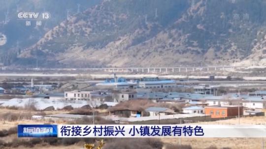 種蘑菇、養(yǎng)駱駝...。。特色產(chǎn)業(yè)助力鄉(xiāng)村振興走新路