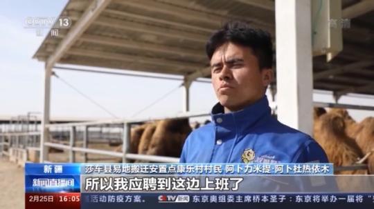 種蘑菇、養(yǎng)駱駝...。。特色產(chǎn)業(yè)助力鄉(xiāng)村振興走新路