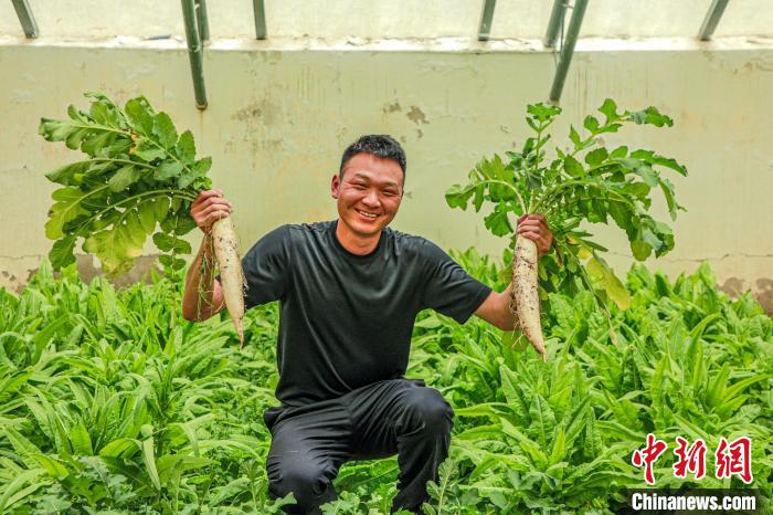 西藏阿里門(mén)士邊境派出所民警兼職大棚種植、豐富牧民餐桌