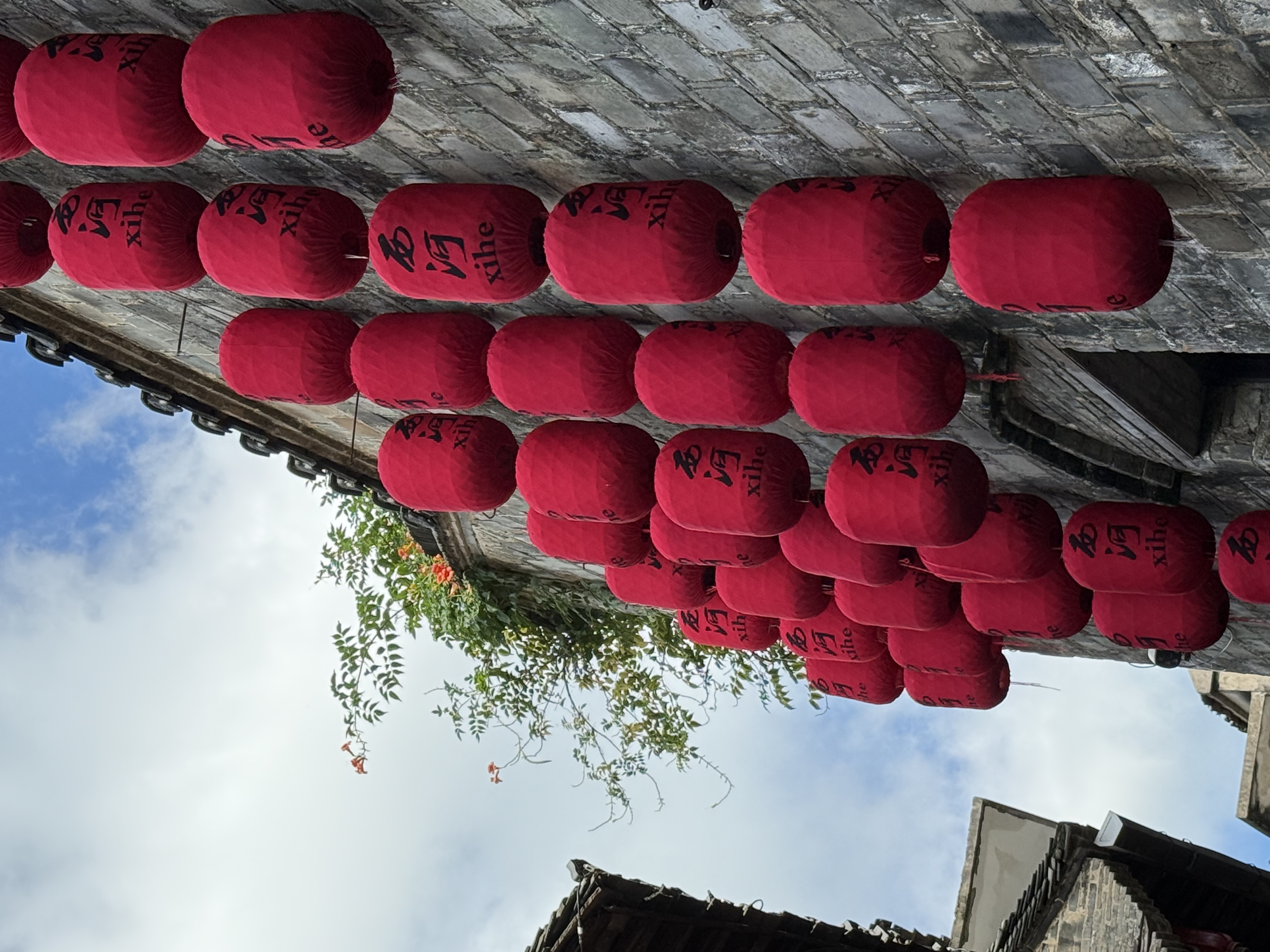 【2024打卡中國(guó)】外國(guó)網(wǎng)紅打卡蕪湖西河古鎮(zhèn) 品“江南水鄉(xiāng)”古韻長(zhǎng)（組圖）