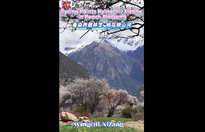 360截圖20260411142155837.jpg