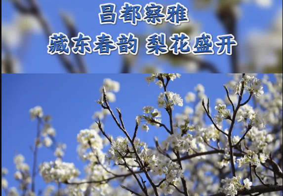 企業(yè)微信截圖_20260412022136.png