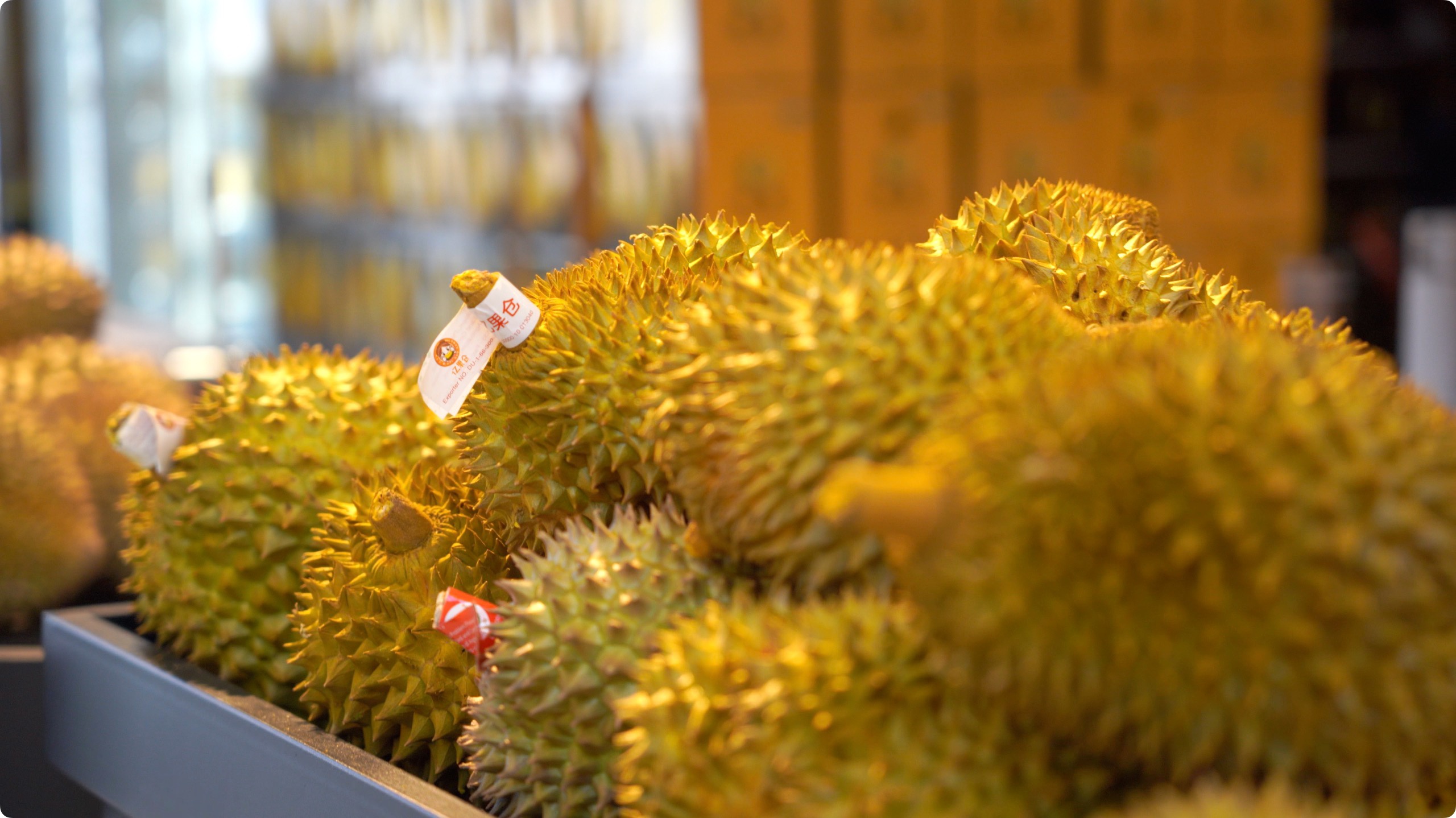 5月初，人民網(wǎng)記者申佳平攝