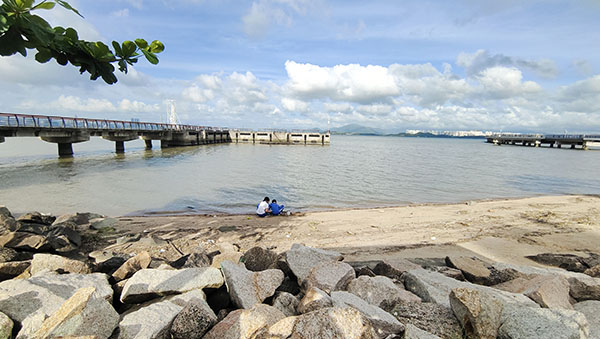 深圳紅樹林灘涂，留給了孩子們親近自然的空間。人民網(wǎng)記者 李彤攝