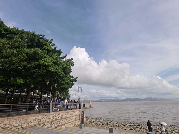 紅樹林灘涂沿線一角。人民網(wǎng)記者 張素玲攝