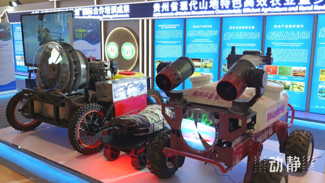 展示成果分享經(jīng)驗，中國—東盟教育交流周深化合作共創(chuàng)未來！