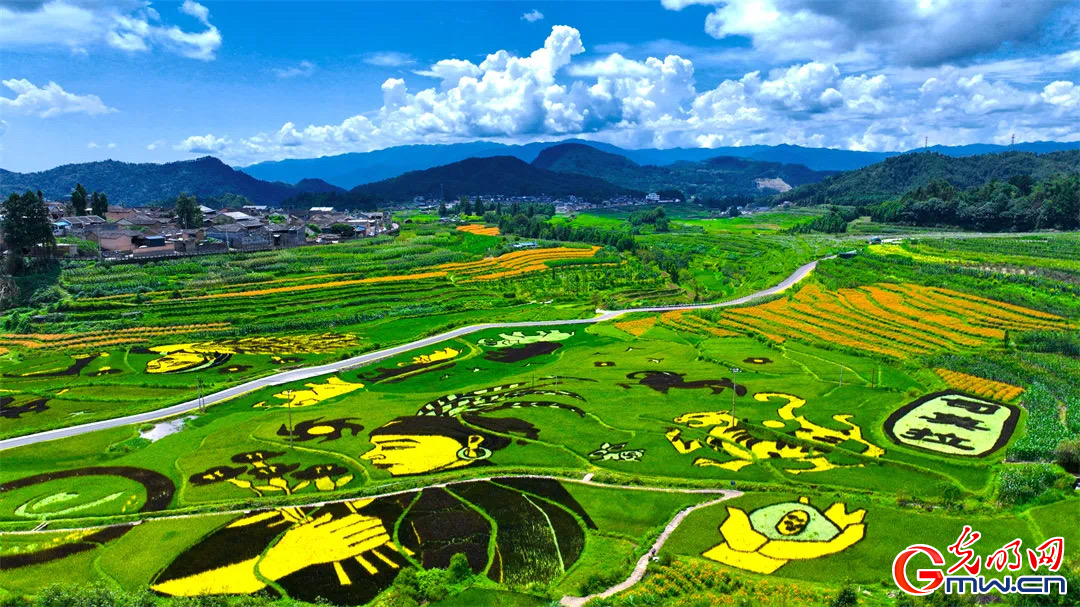 云南清水：延伸公共法律服務觸角，讓普法與民族團結進步互促共融