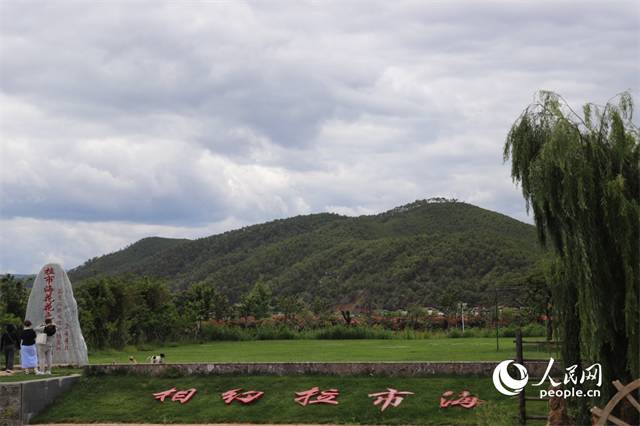 麗江市拉市海景區(qū)。 人民網(wǎng)記者 程浩攝