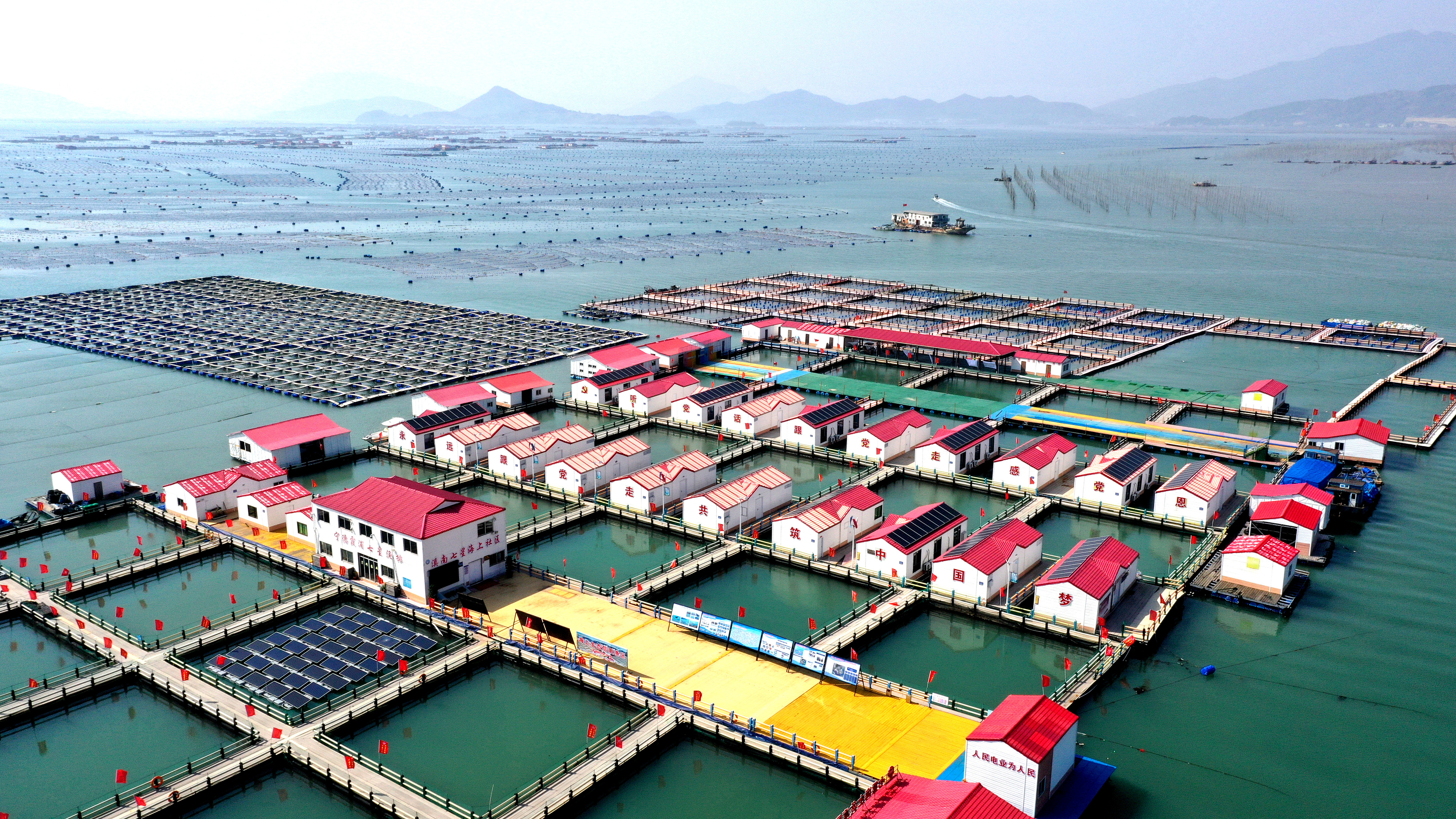 2024年3月20日，福建省寧德市，霞浦縣溪南鎮(zhèn)七星村漁排養(yǎng)殖示范區(qū)，漁民駕駛養(yǎng)殖船進(jìn)行海參養(yǎng)殖作業(yè)。