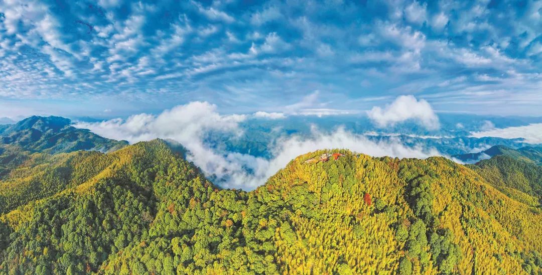 　三明森林生態(tài)環(huán)境優(yōu)美。