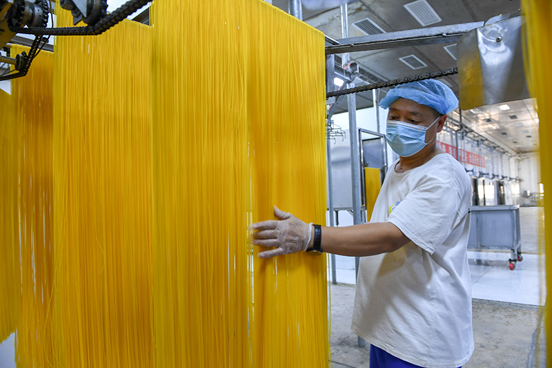 2024年1月25日，在吉林省公主嶺市的一家公司車間，工人查看玉米面條生產(chǎn)情況。