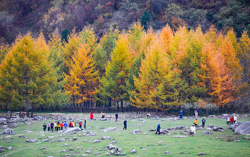 2023年10月27日，深秋時(shí)節(jié)的陜西秦嶺太子嶺漫山紅黃、色彩交織，進(jìn)入最佳觀賞期。