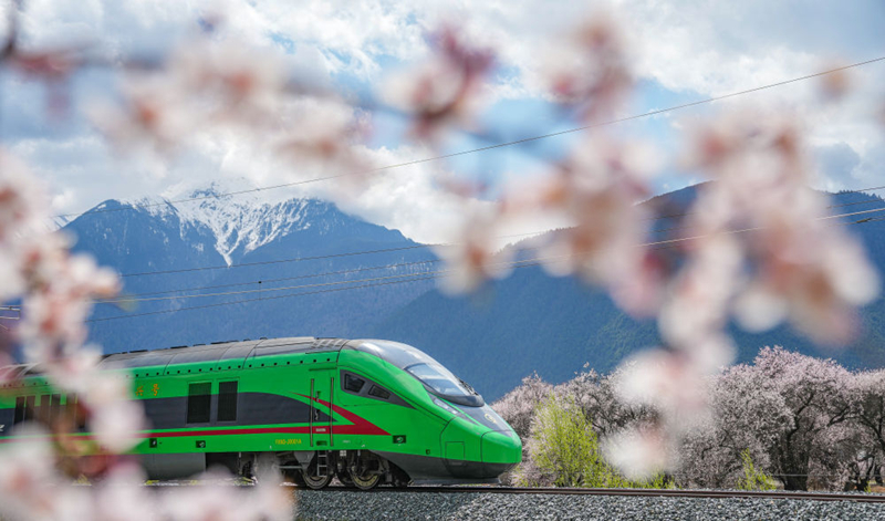 2025年4月2日，復(fù)興號列車穿行在拉林鐵路林芝段。