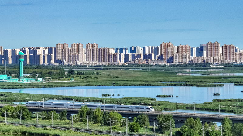 2025年8月17日，一列動(dòng)車(chē)組列車(chē)駛過(guò)大慶東站。