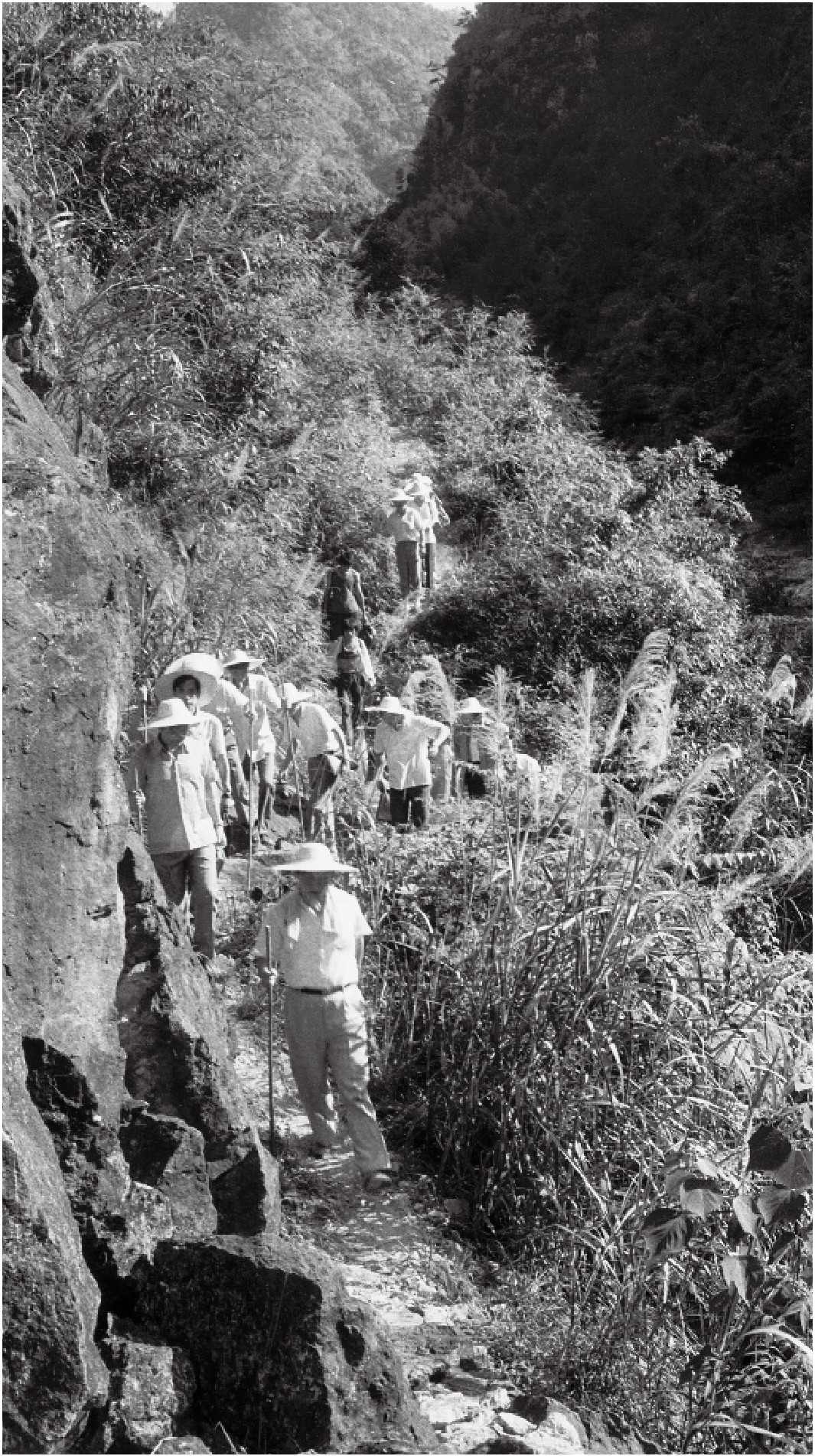 1989年7月，習(xí)近平一行到壽寧縣下黨鄉(xiāng)調(diào)研。