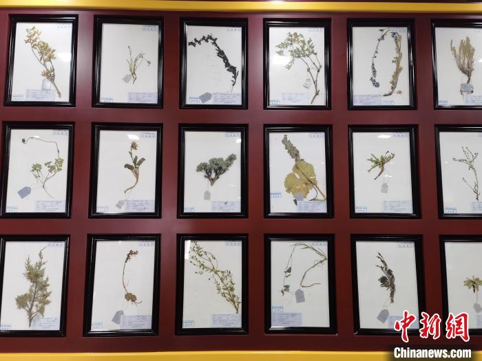 穿越時(shí)空來這里感受高原藏醫(yī)藥的魅力