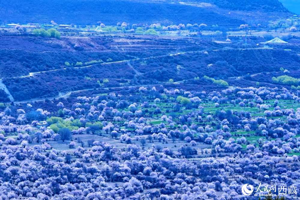 遠眺“桃花村”。人民網 李海霞攝