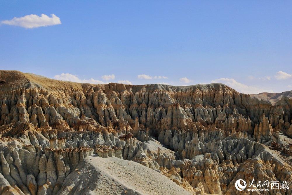 多姿多彩的土林。人民網(wǎng) 李海霞攝