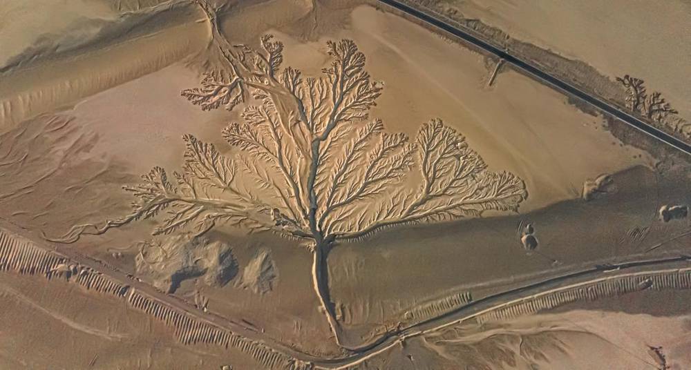 壯觀的“大地之樹”。邊巴多吉攝