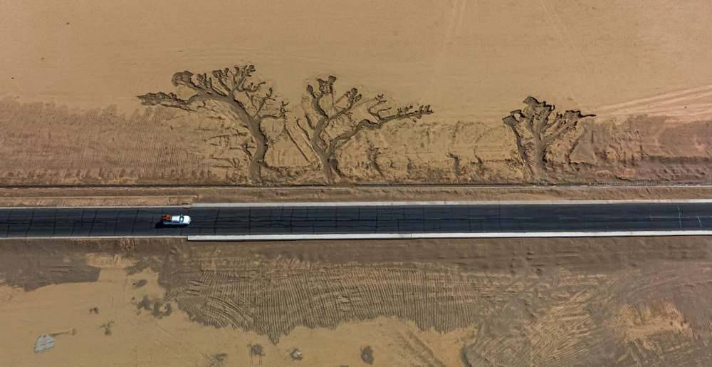 位于國道216沿線的“大地之樹”。邊巴多吉攝