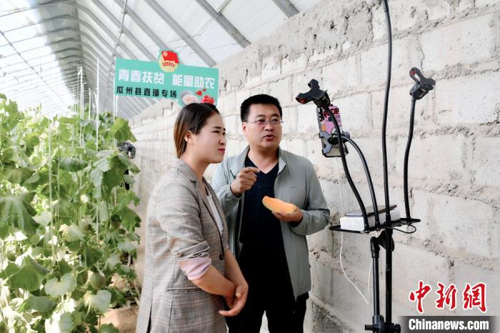 甘肅戈壁蜜瓜“直播”助農(nóng)“內(nèi)育外引”持久扶貧消費(fèi)