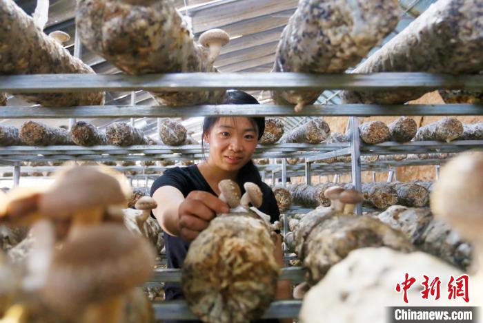 甘肅天?！跋愎椒蚱蕖毕律饺氪ǎ捍笈锢镉板X景”