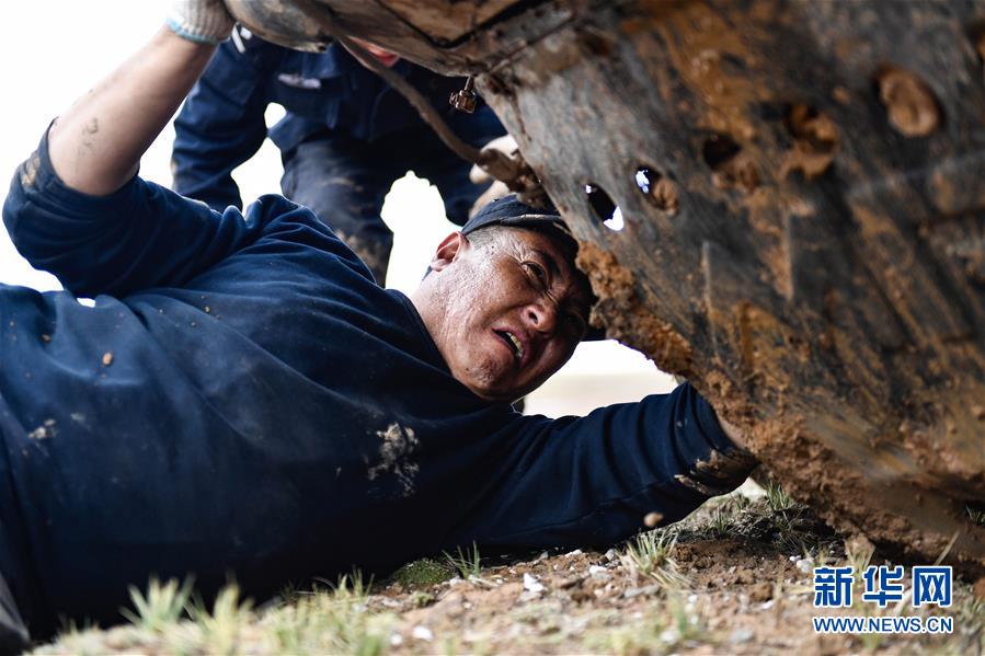 （圖文互動(dòng)）（1）記者手記：可可西里，“挪”向“藏羚羊大產(chǎn)房”的14個(gè)半小時(shí)