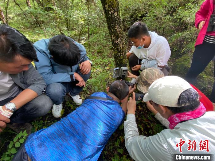 圖為訪客正在查看紅外相機中的拍攝畫面?！±罱瓕?攝