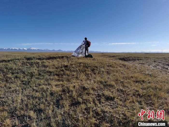 圖為索南達(dá)杰保護(hù)站保護(hù)隊員在可可西里找到露營的葉某?！∴嚭Ｆ?攝