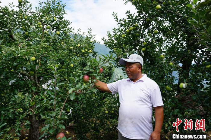 四川瀘定：產(chǎn)業(yè)“開(kāi)花結(jié)果”迎“蝶變”