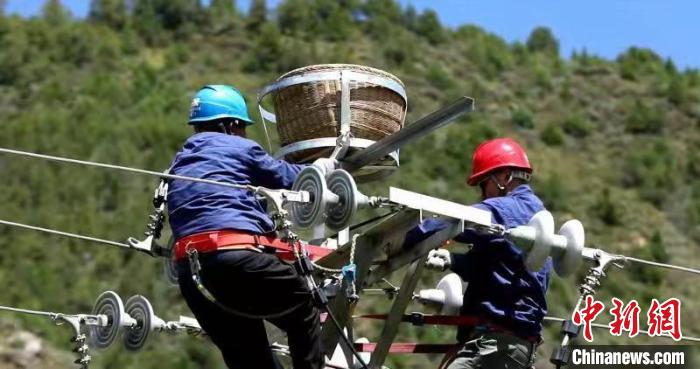 國(guó)網(wǎng)青海電力：三江源4000多個(gè)“人工鳥巢”實(shí)行一體化管理