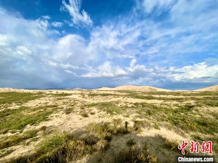 圖為關(guān)停四年后的沙島景區(qū)現(xiàn)狀?！±罱瓕?攝