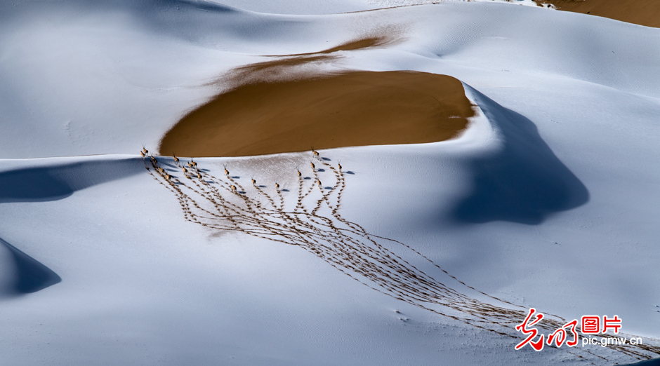 三江源國(guó)家公園正式設(shè)立，這是青海生態(tài)文明建設(shè)的新答卷