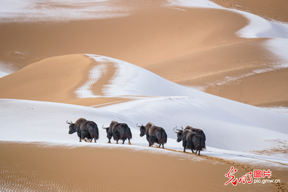 三江源國(guó)家公園正式設(shè)立，這是青海生態(tài)文明建設(shè)的新答卷