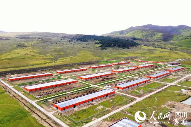 建設中的理塘縣牦牛產(chǎn)業(yè)園。葉強平攝
