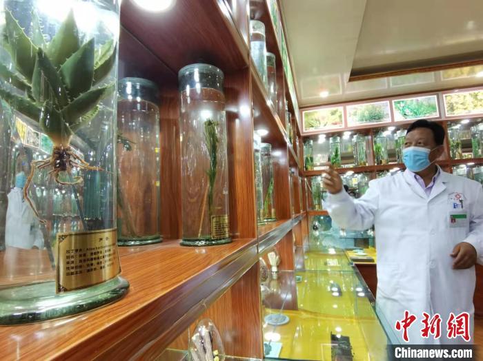 甘肅省甘南藏族自治州碌曲縣藏醫(yī)院副院長(zhǎng)看照加近30年的從醫(yī)工作，堅(jiān)持中藏醫(yī)特色優(yōu)勢(shì)相結(jié)合診療方法。　張婧 攝