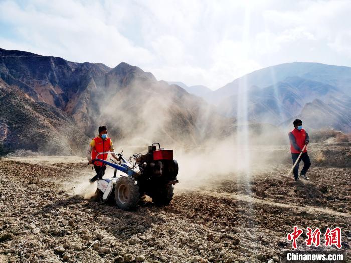 圖為拖拉機(jī)在山地犁地?！?zhí)砀?攝
