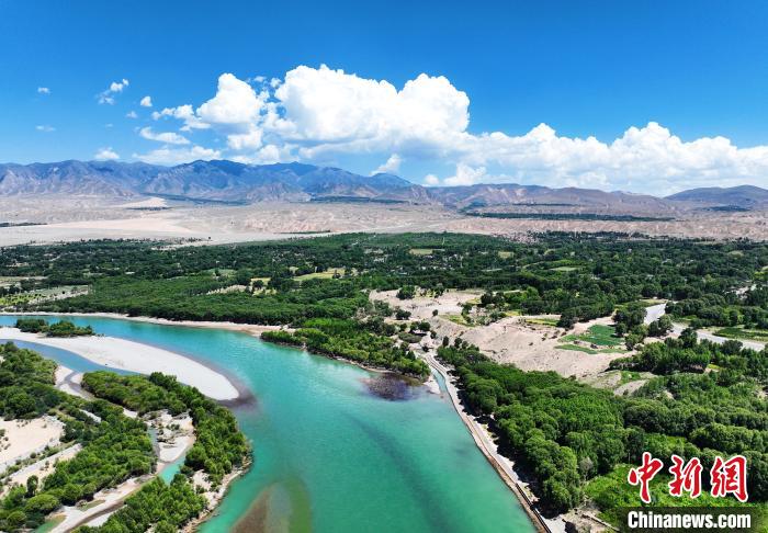 航拍貴德縣黃河岸畔綠意盎然?！●R銘言 攝