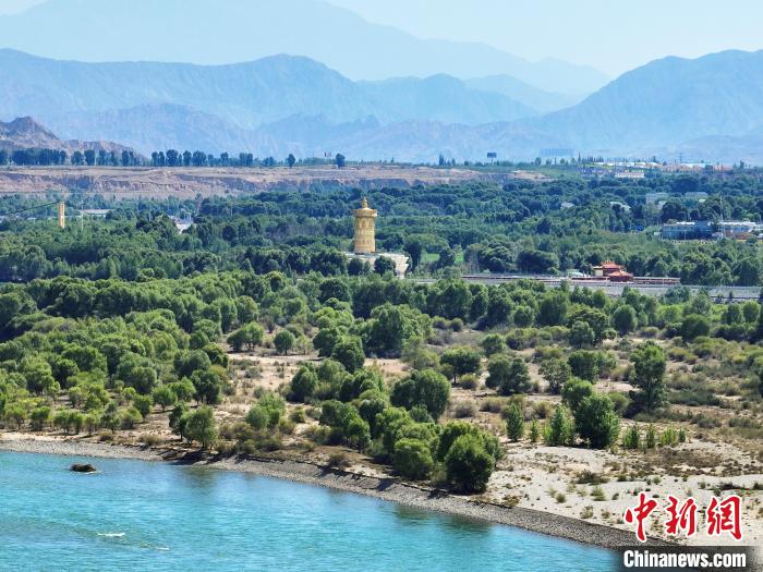 航拍貴德縣黃河岸畔綠意盎然?！●R銘言 攝