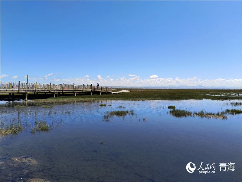 青海湖仙女灣。人民網(wǎng) 張莉萍攝