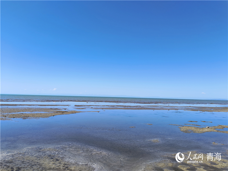   青海湖仙女灣。人民網(wǎng) 張莉萍攝