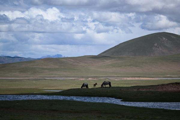 唐古拉山腳下，聽牧民講述長江源生活變遷
