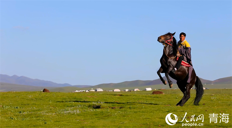 貴南草原。人民網(wǎng) 張皓芃攝